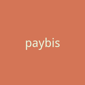 paybis.com官网