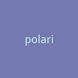 polarixdisc.com-2官网