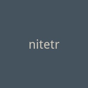 nitetronic.com官网