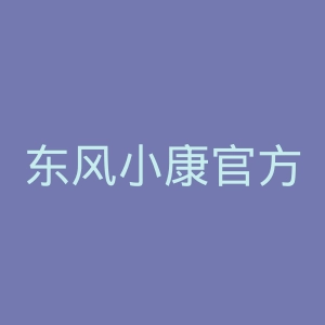 东风小康官方网站
