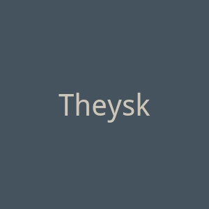 Theyskens’ Theory官网