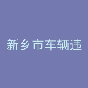 新乡市车辆违章查询