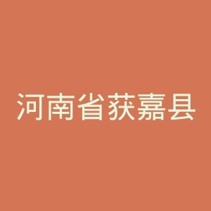 河南省获嘉县中医院官网