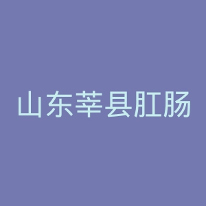 山东莘县肛肠专科医院官网