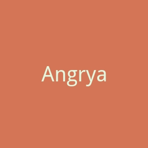 AngryaLien官网
