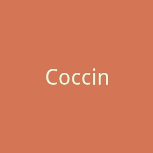Coccinelle官方网站