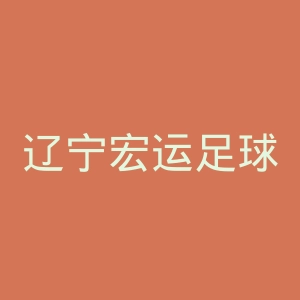 辽宁宏运足球俱乐部微博