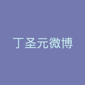 丁圣元微博