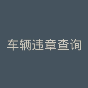 车辆违章查询官方网站