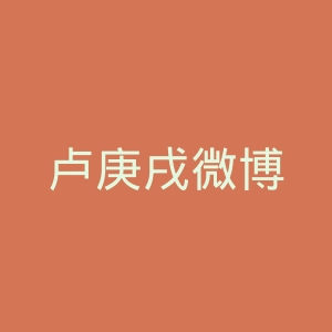 卢庚戌微博