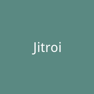 Jitrois官方网站