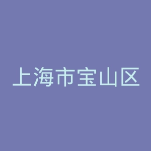 上海市宝山区中心医院官网