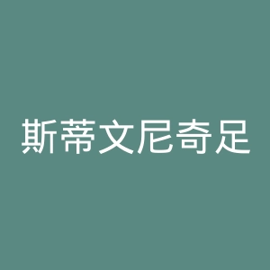 斯蒂文尼奇足球俱乐部