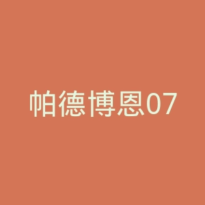 帕德博恩07足球俱乐部