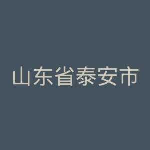 山东省泰安市中心医院官网