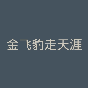 金飞豹走天涯微博