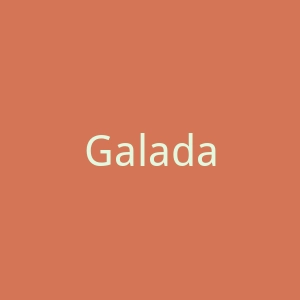 Galaday官网