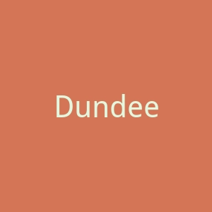 Dundee市档案馆之友官网