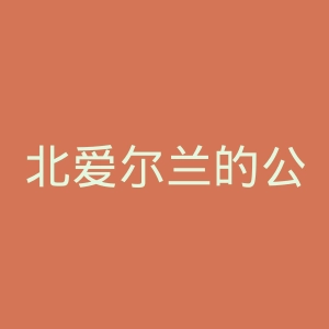 北爱尔兰的公共记录办公室官网