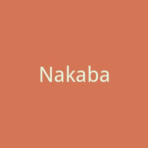 Nakabayashi官网