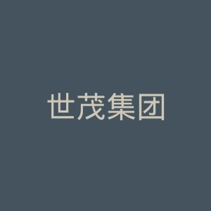 世茂集团