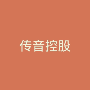 传音控股
