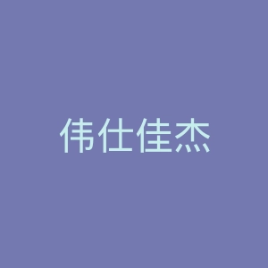 伟仕佳杰