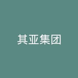 其亚集团