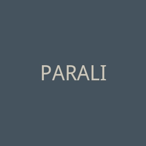 PARALIGN官网
