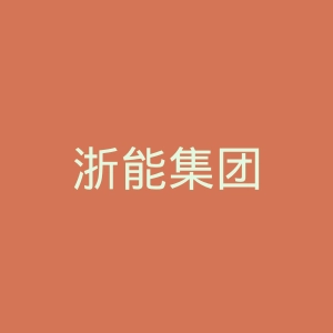 浙能集团