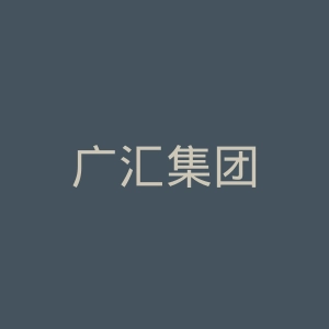 广汇集团