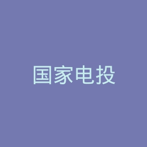 国家电投