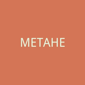 METAHELIX官网