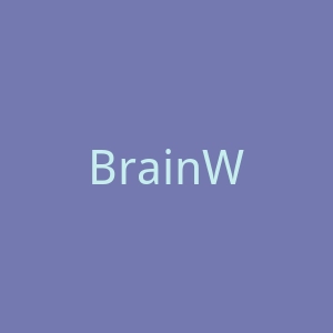 BrainWave官网