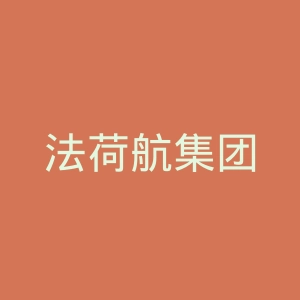 法荷航集团