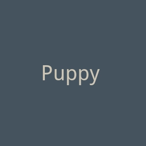 Puppy Linux