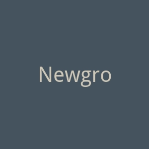 Newgrounds