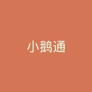 小鹅通