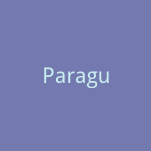 Paraguay官网