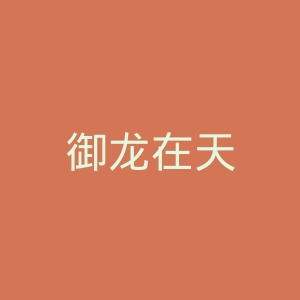 御龙在天