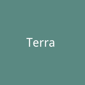 Terra Perú官网