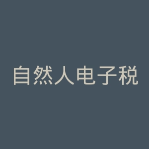 自然人电子税务局