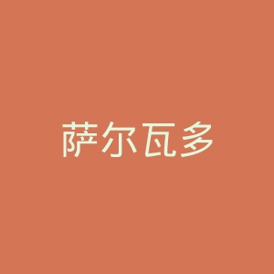 萨尔瓦多