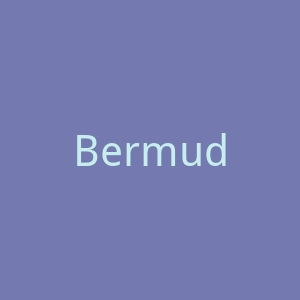 Bermudayp官网