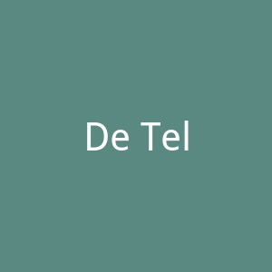 De Telegraaf官网