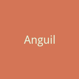 Anguilla-guide官网