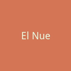 El Nuevo Dia官网