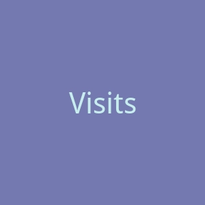 Visitsvg官网
