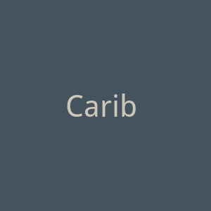 Carib Vision官网