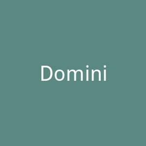 Dominican Today官网